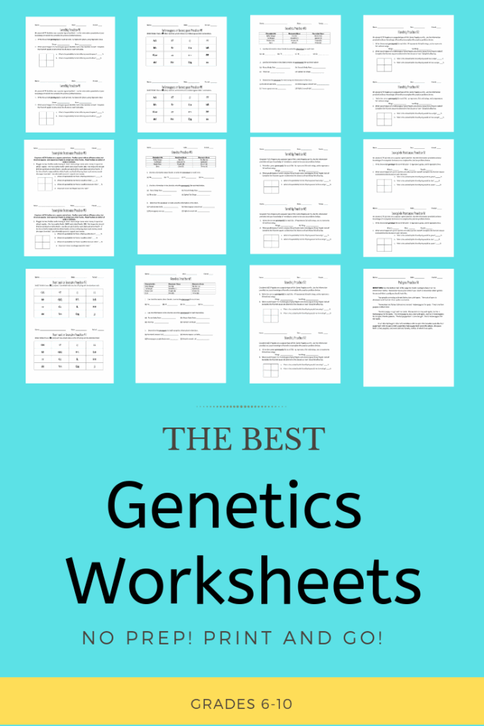 Genetic Science Learning Center Worksheet