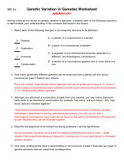 Genetic Variation In Gametes Worksheet Course Hero