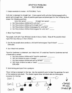 Genetic Variation Worksheet Answers