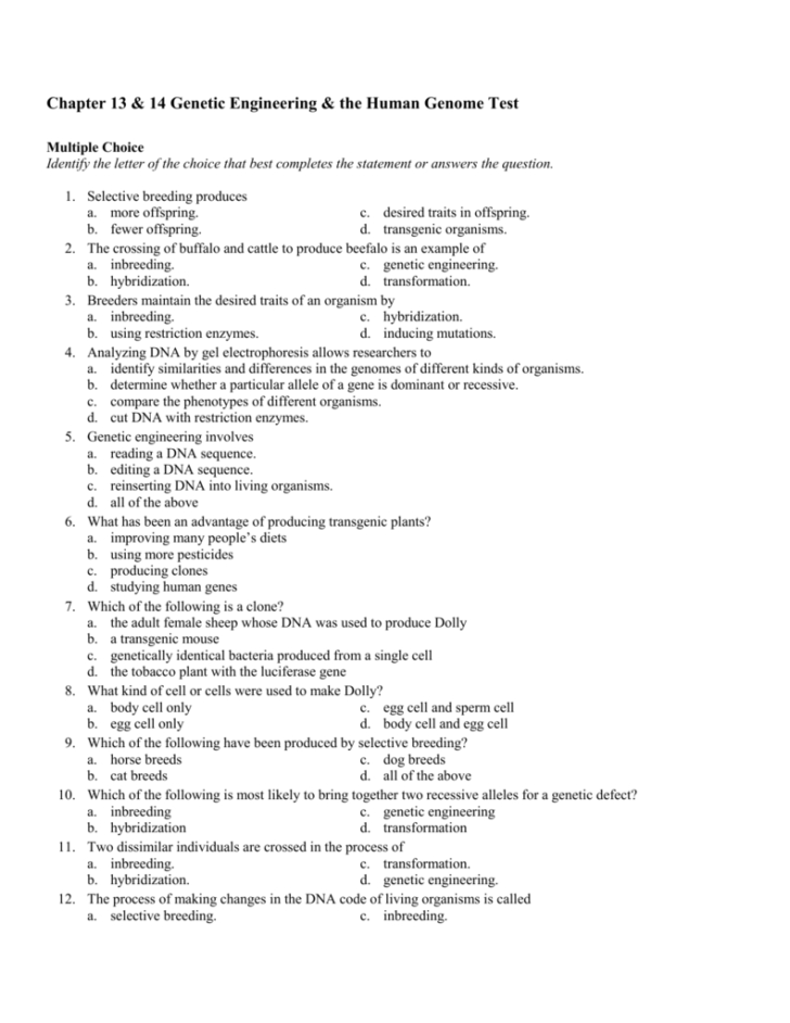 Genetics And Biotechnology Chapter 13 Worksheet Answers Db excel
