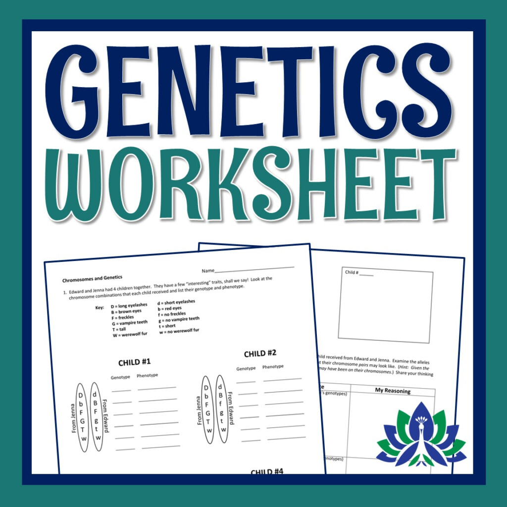 Genetics And Chromosomes Worksheet Flying Colors Science Worksheets 