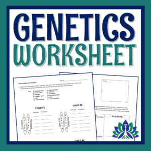 Genetics And Chromosomes Worksheet Flying Colors Science Worksheets