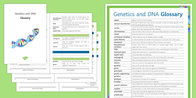 Genetics And DNA Glossary teacher Made 