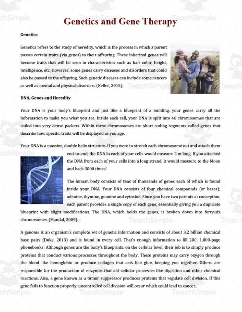 Genetics And Gene Therapy Reading Comprehension Article Worksheets 
