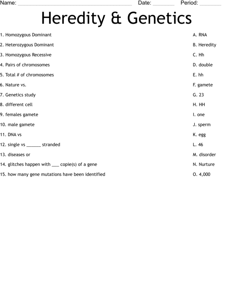 Genetics And Heredity Worksheet Pdf