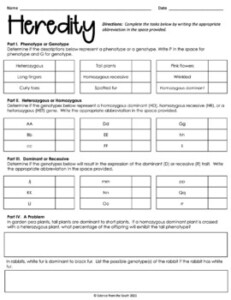 Genetics And Heredity Worksheet With Differentiation For Assessment Or