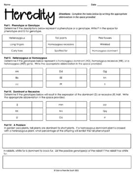 Genetics And Heredity Worksheet With Differentiation For Assessment Or 