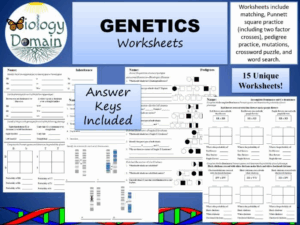 Genetics And Inheritance Worksheets Teaching Resources