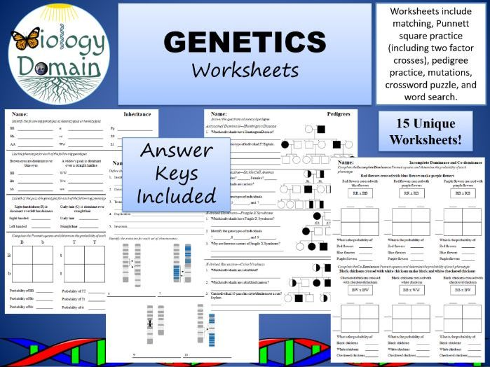 Genetics And Inheritance Worksheets Teaching Resources