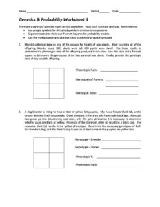 Genetics And Probability Worksheet 3 Answers AirSlate SignNow