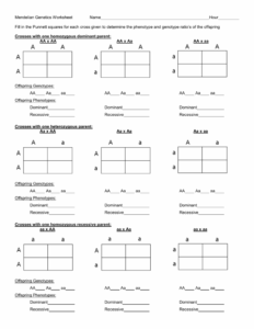 Genetics And Punnett Square Practice Worksheets