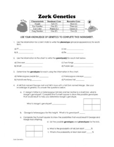 Genetics Basics Worksheet 2000 Answer Key SkillsWorksheets