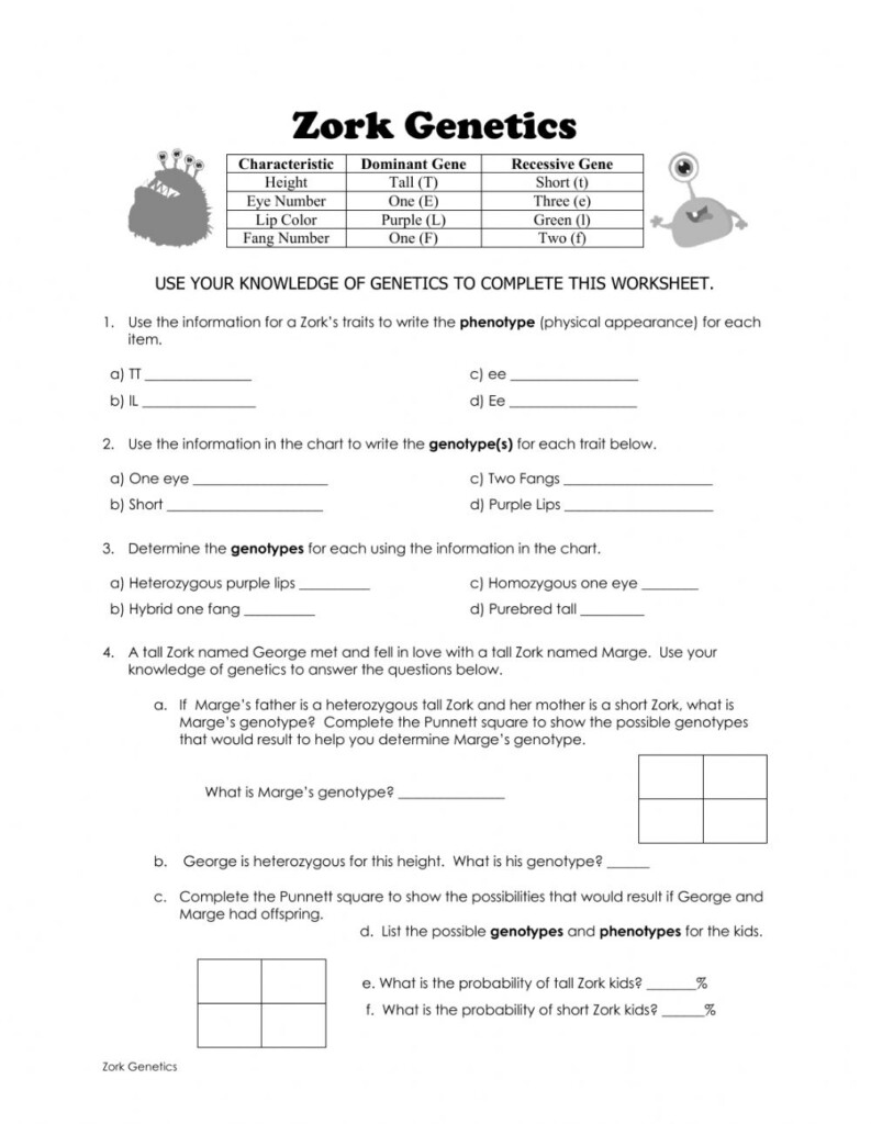 Genetics Basics Worksheet 2000 Answer Key SkillsWorksheets