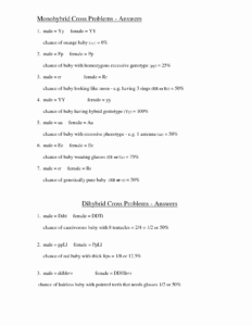 Genetics Basics Worksheet Answer Key Pdf