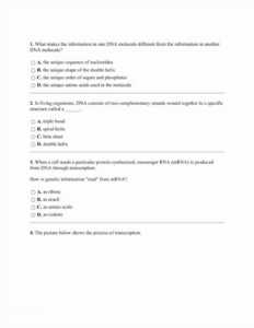 Genetics Basics Worksheet Answer Key Printable Word Searches