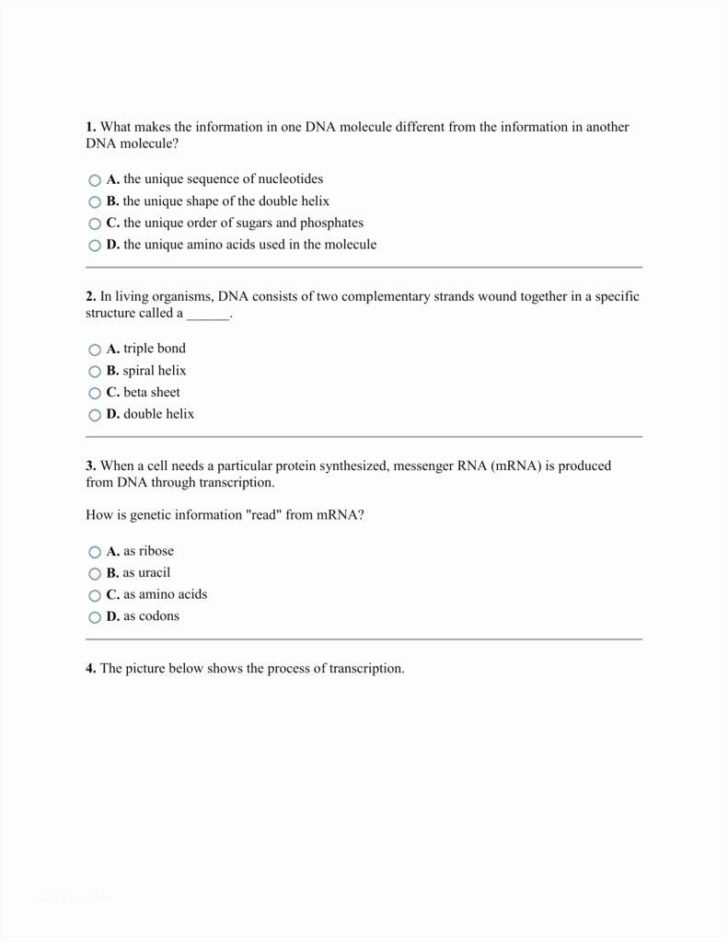 Genetics Basics Worksheet Answer Key Printable Word Searches