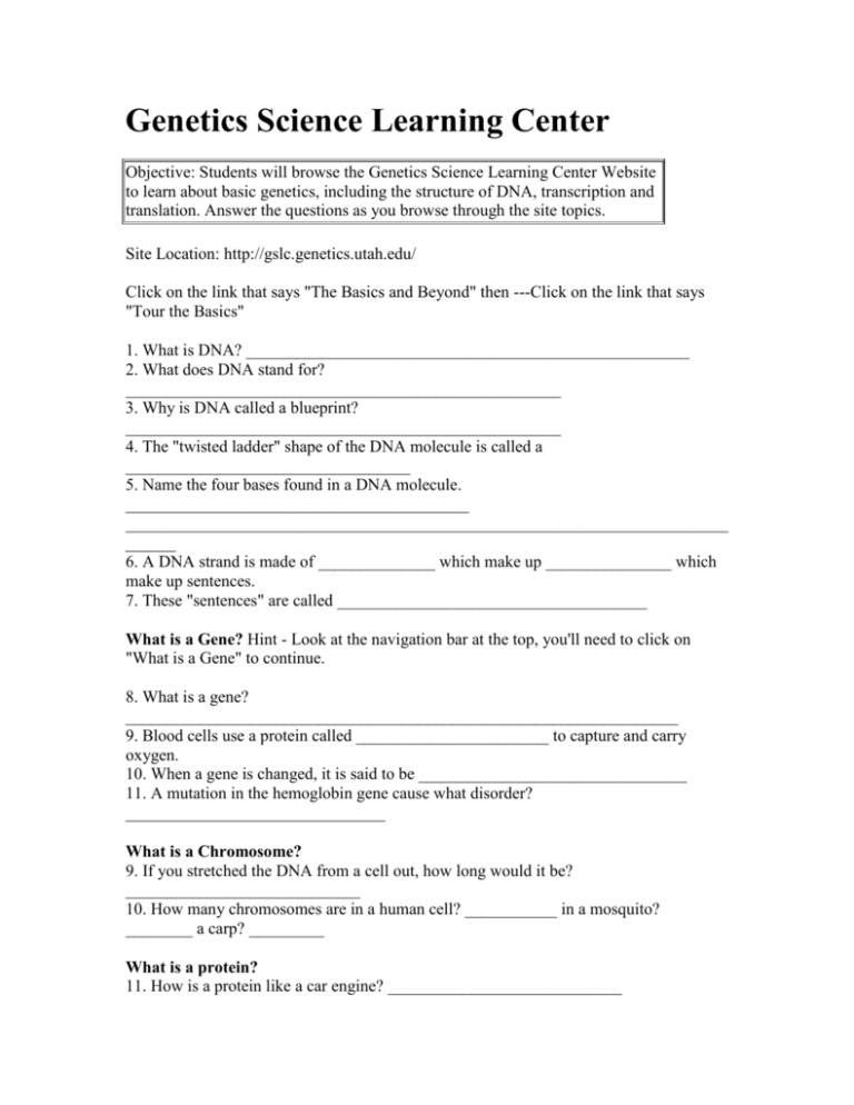 Genetics Basics Worksheet DNA Genes And Heredity