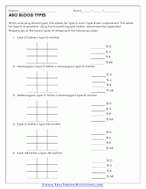 Genetics Blood Types Worksheets