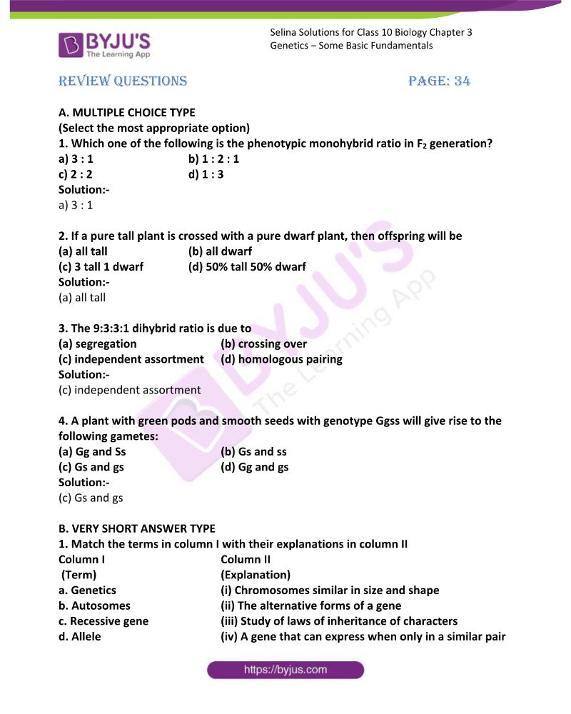 Genetics Class 10 Icse Worksheet
