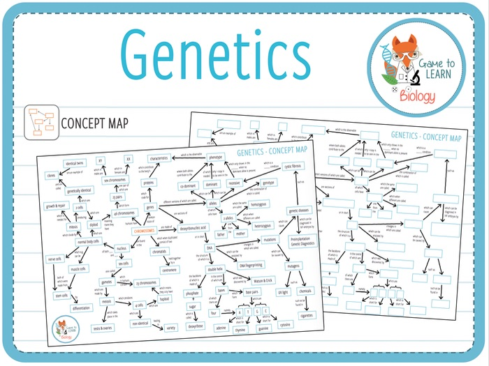 Genetics Concept Map Answers
