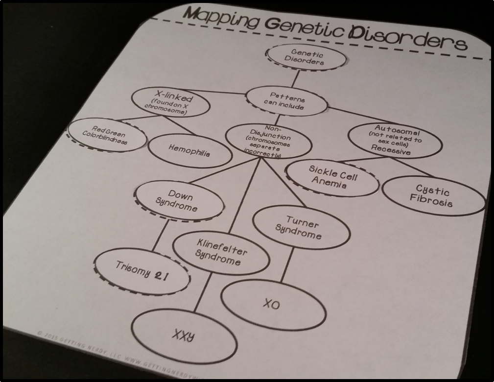 Genetics Concept Map Answers