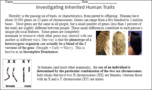 Genetics Investigating Inherited Human Traits Activity TPT