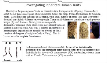 Genetics Investigating Inherited Human Traits Activity TPT