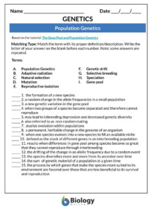 Genetics Lesson Outline Worksheets Biology Online Tutorial