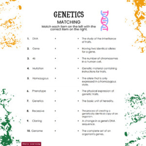 Genetics Match Master Dive Into DNA With Our Engaging Matching Worksheet