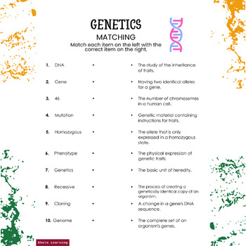 Genetics Match Master Dive Into DNA With Our Engaging Matching Worksheet 