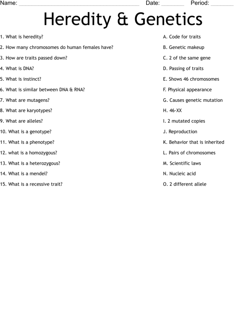 Genetics Matching Quiz Worksheet WordMint