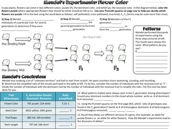 Genetics Mendel 39 s Experiments By Biology Roots TpT