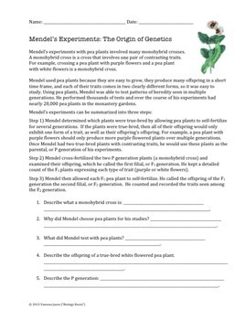 Genetics Mendel 39 s Experiments Reading Exercise By Biology Roots