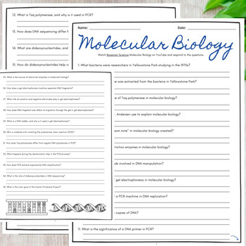Genetics Molecular Biology Comprehensive Worksheet Bozeman Science