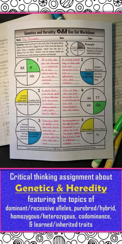 Genetics Multiple Allele Traits Worksheet