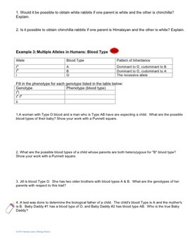 Genetics Multiple Alleles Worksheet By Biology Roots TpT