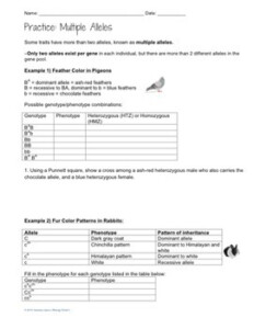 Genetics Multiple Alleles Worksheet By Biology Roots TpT