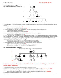 Genetics Pedigree Worksheet Answer Key Db excel