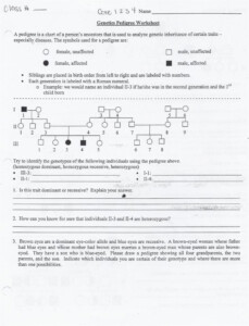 Genetics Pedigree Worksheet Answer Key Db excel