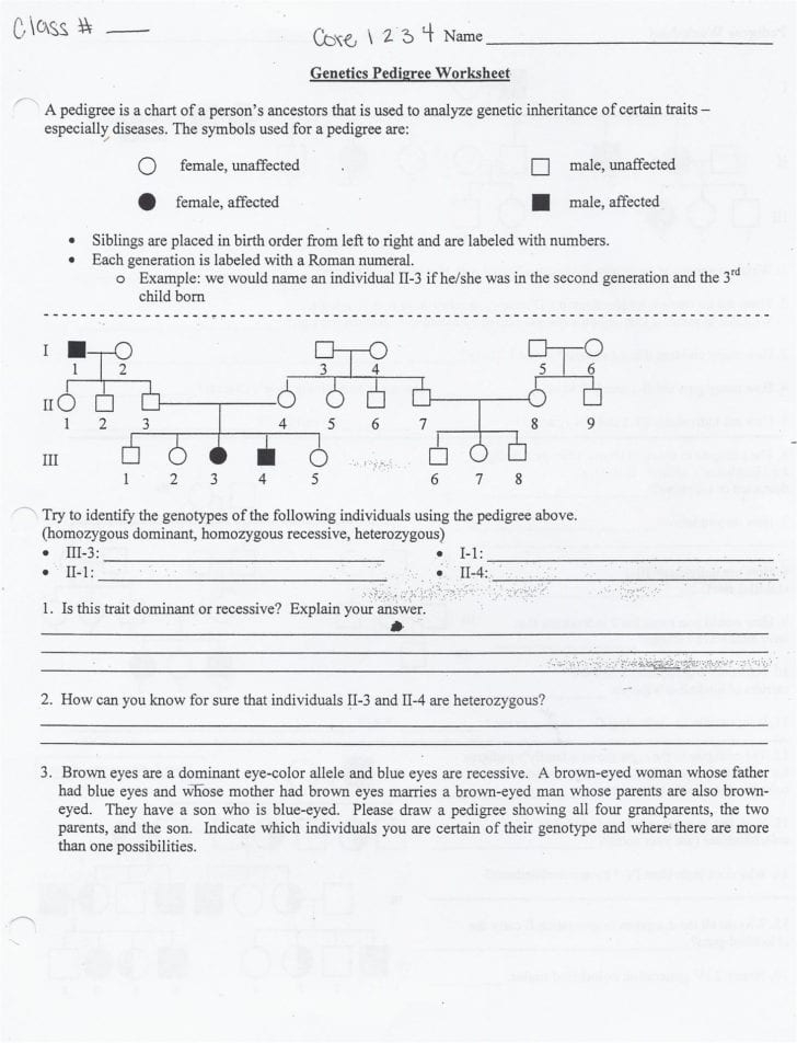 Genetics Pedigree Worksheet Answer Key Db excel