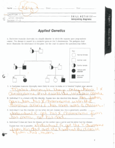 Genetics Pedigree Worksheet Answers Abhayjere
