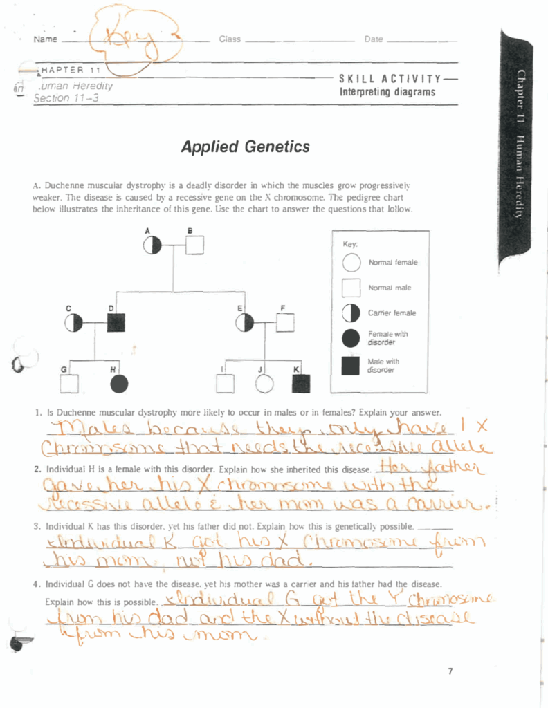 Genetics Pedigree Worksheet Answers Abhayjere