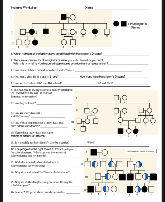 Genetics Pedigree Worksheet Dimples Answer Key Printable Word Searches