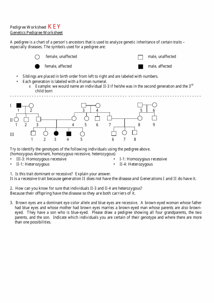 Genetics Pedigree Worksheet With Answers Download Printable PDF 