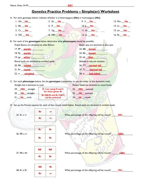 Genetics Practice Problems Simple er Worksheet Fulton County 