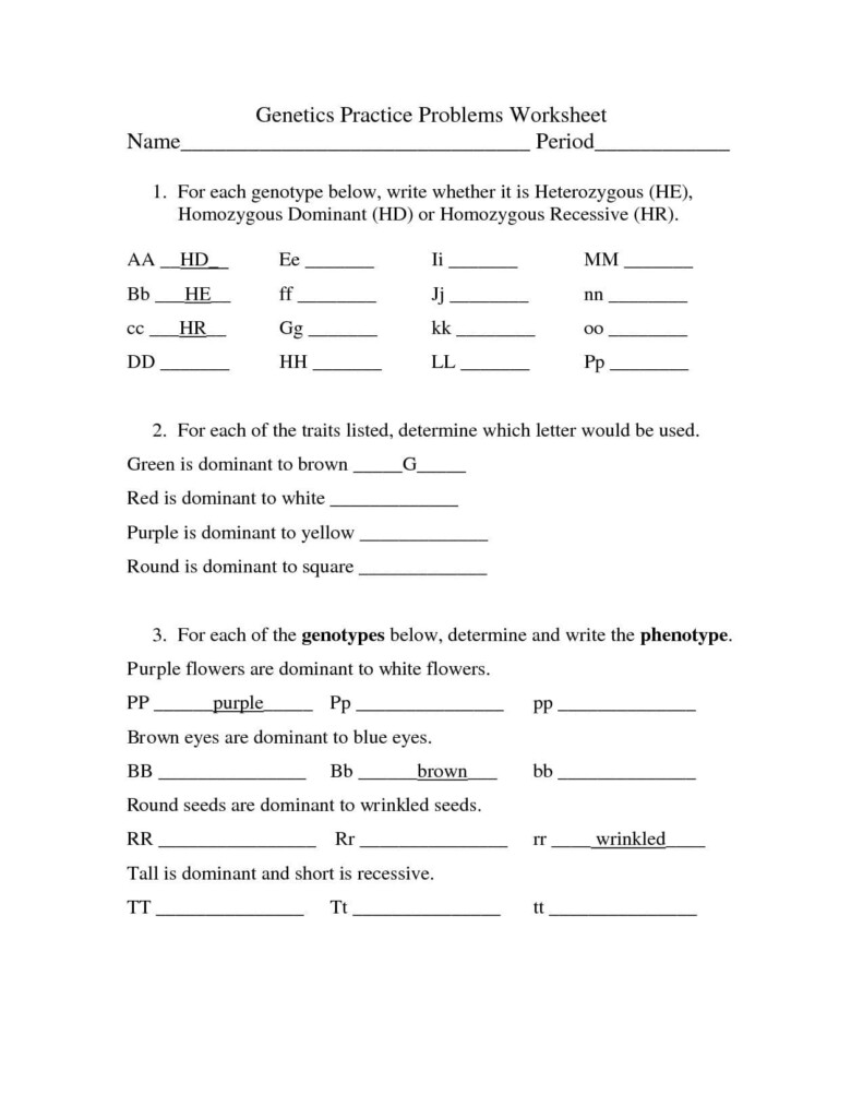 Genetics Practice Problems Simple Worksheet