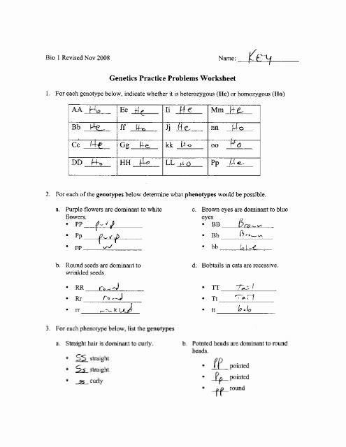 Genetics Practice Problems Simple Worksheet