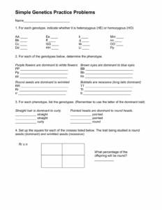 Genetics Practice Problems Worksheet Zipworksheet