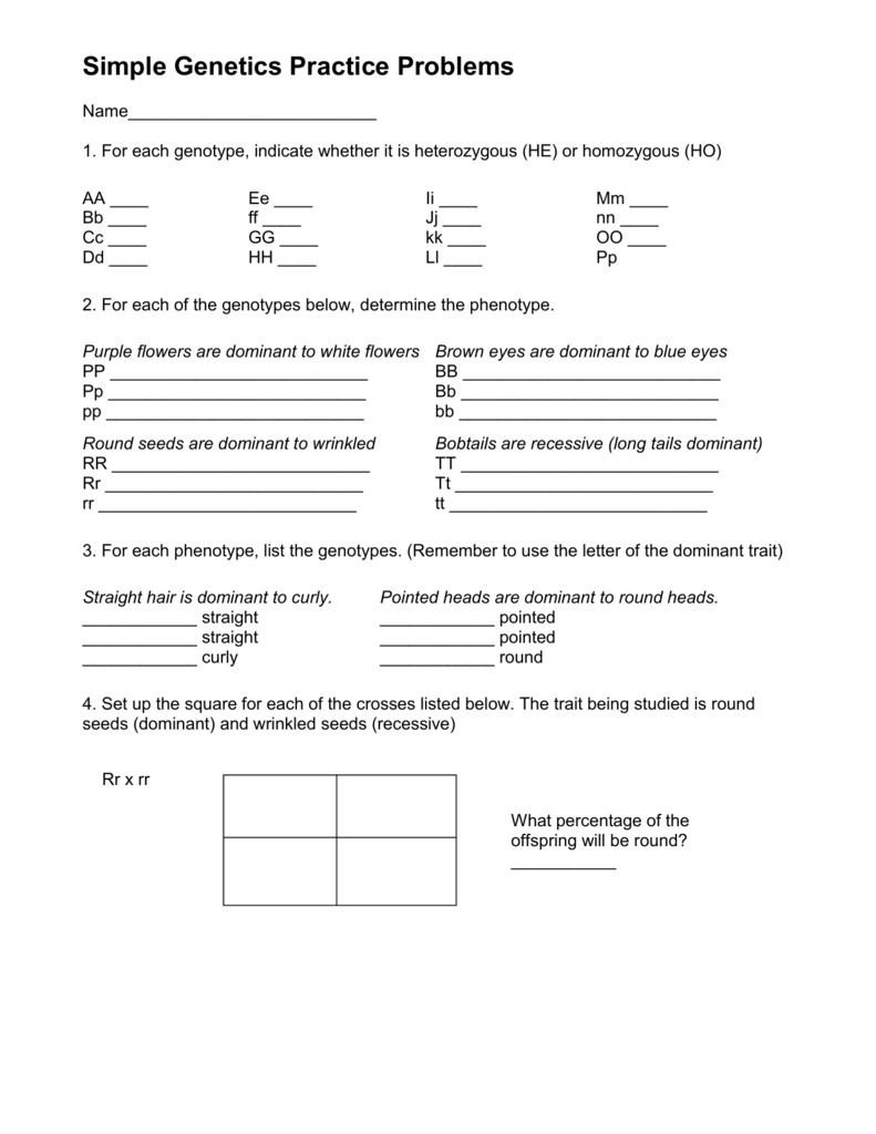 Genetics Practice Problems Worksheet Zipworksheet