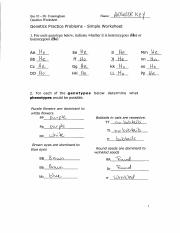 Genetics Practice Problems WS Answer Key pdf Osu 8R Name Bio 10 Dr 